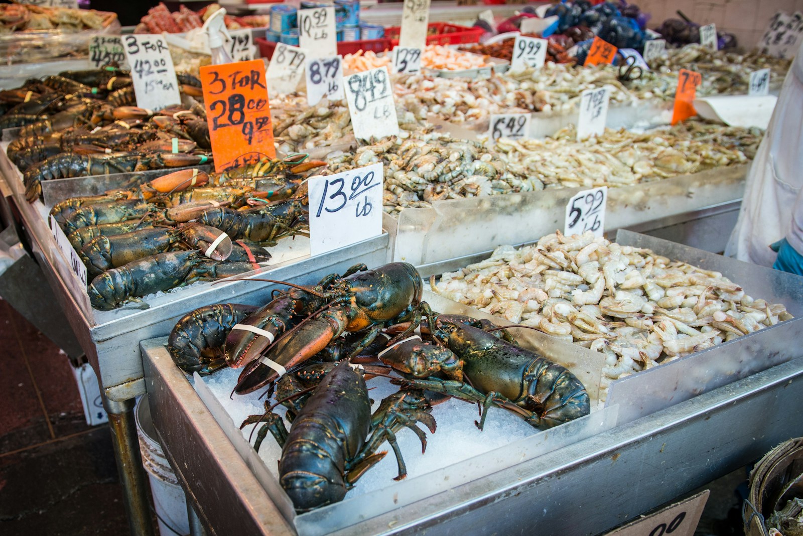 Ilustrasi stok ragam seafood di pasar